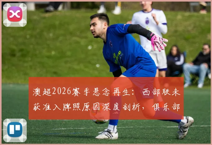 澳超2026赛季悬念再生:西部联未获准入牌照原因深度剖析,俱乐部官方回应与未来出路前瞻