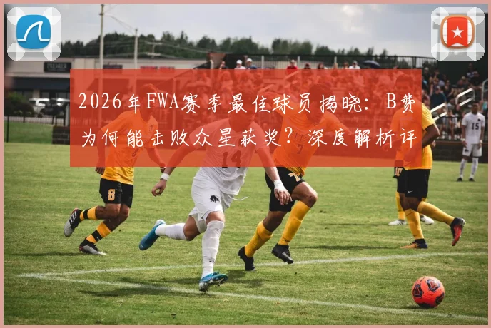 2026年FWA赛季最佳球员揭晓:B费为何能击败众星获奖?深度解析评选标准与数据表现
